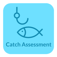 Catch Assessment